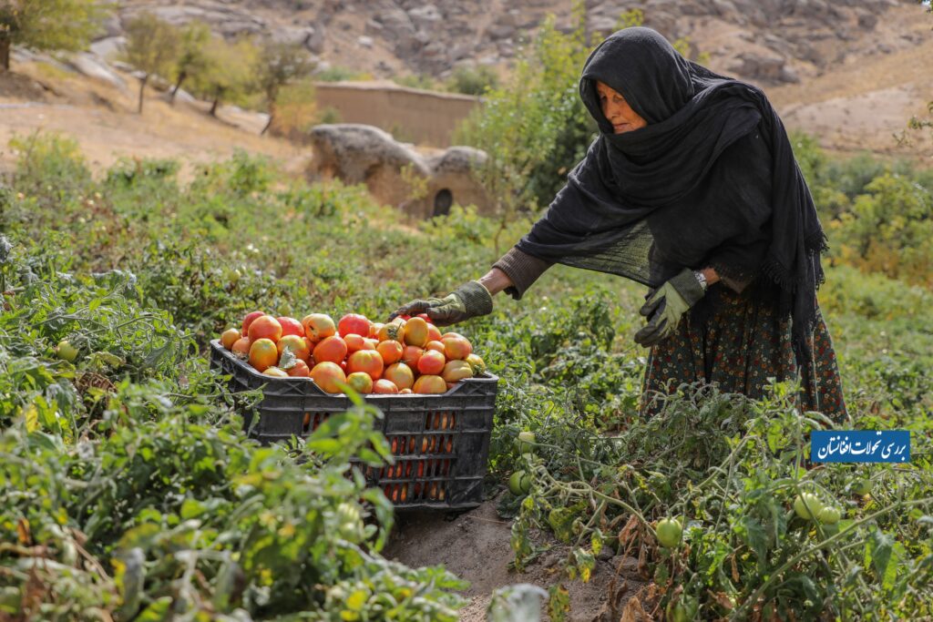 اقتصاد معیشتی در افغانستان