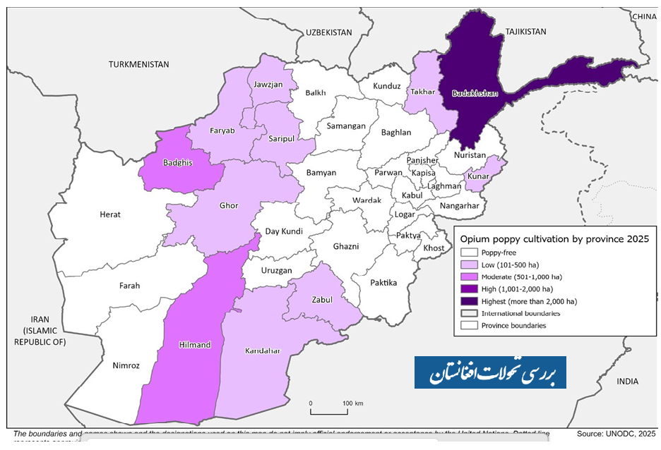 badakhshan protests poppy