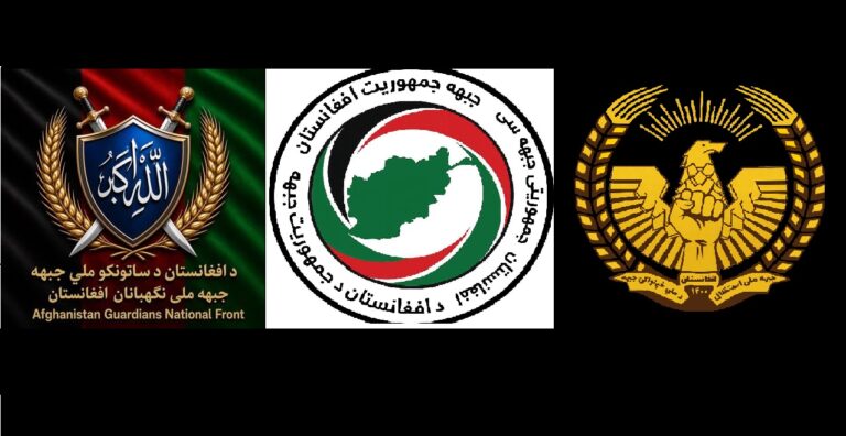 جبهه‌های مخالف طالبان؛ چرا گروه‌های جدید همزمان در افغانستان فعال شدند؟